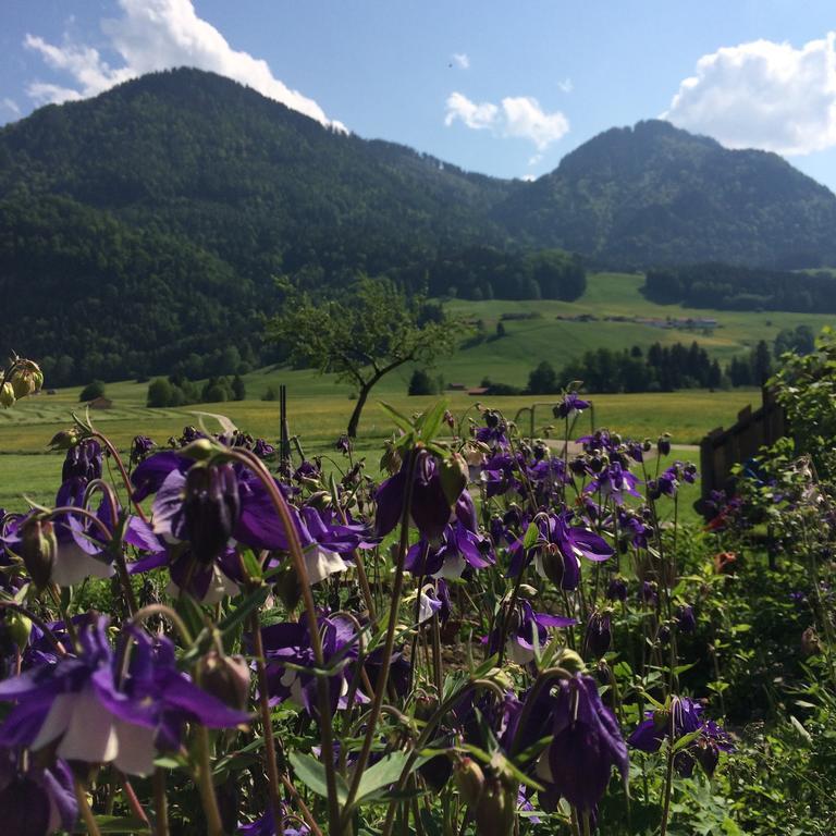 Schifterhof Ruhpolding Villa ภายนอก รูปภาพ