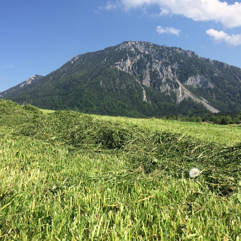 Schifterhof Ruhpolding Villa ภายนอก รูปภาพ